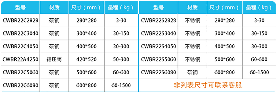 高精度計數台秤-CWBR22產品參數